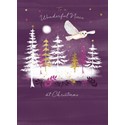 [Pre-Order] Christmas Card (Single) - Niece - Barn Owl Over Forest