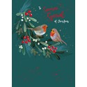 [Pre-Order] Christmas Card (Single) - Someone Special - Robins On Foliage