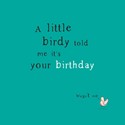 Alec's Cards Card - Little Birdy