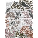 [Pre-Order] Fab Funky Card Collection - Country Lane - Birds