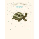[Pre-Order] Animal Crackers Card Collection - Old Timer Tortoise