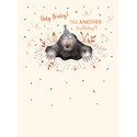 [Pre-Order] Animal Crackers Card Collection - Holy Moley Mole
