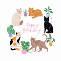 [Pre-Order] Party Animals Card Collection - Cats