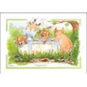 Alisons Animals Card - Hogwash (Splimple - 150x210mm)