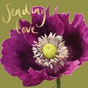 Sarah Kelleher Card Collection - Sending Love