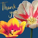 Sarah Kelleher Card Collection - Thank You