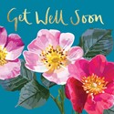 Sarah Kelleher Card Collection - Get Well Soon