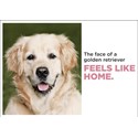 Barking at the Moon Card - The face of a Golden Retriever (Splimple)