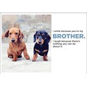 Barking at the Moon Card - I smile because you're my Brother (Splimple)