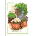 Alisons Animals Card Collection  - Why Some Plants Fail To Thrive (150x210mm)