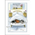 Alisons Animals Card - Duvet day (Splimple - 150x210mm)