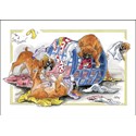 Alisons Animals Card - The joy of socks (Splimple - 150x210mm)