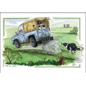 Alisons Animals Card - Late for work (Splimple - 150x210mm)