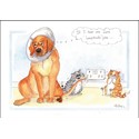 Alisons Animals Card - If I hear one more lampshade joke (Splimple - 150x210mm)