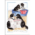 Alisons Animals Card - Pensions crisis (Splimple - 150x210mm)