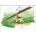 Alisons Animals Card - Size matters (Splimple - 150x210mm)