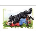 Alisons Animals Card - Missed you (Splimple - 150x210mm)