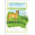 Alisons Animals Card - You threw it ? (Splimple - 150x210mm)