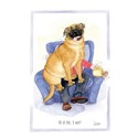 Alisons Animals Card - If I fit, I sit (Splimple - 150x210mm)