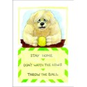 Alisons Animals Card - Throw the ball (Splimple - 150x210mm)