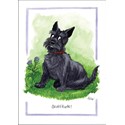 Alisons Animals Card - Scottitude (Splimple - 150x210mm)