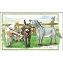 Alisons Animals Card - Let us bray (Splimple - 150x210mm)