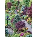 Beautiful Blanks Card - Path Through Garden