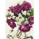Beautiful Blanks Card - Purple Roses In Vase