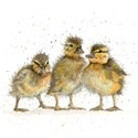 Fur & Feather Card Collection - Three Ducklings