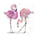 Fur & Feather Card Collection - Two Flamingo