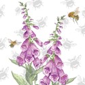 Bee-Tanical Card Collection - Foxglove