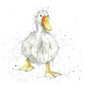 Fur & Feather Card Collection - Jemima Duck