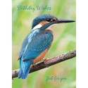 Animal Birthday Card - Kingfisher