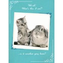 What A Hoot Card - Another Grey Hare