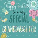 Pink Pig Card Collection - Special Granddaughter