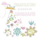 Pink Pig Card Collection - New Granddaughter