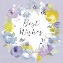 Pink Pig Card Collection - Best Wishes