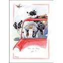 Alisons Animals Card - Are we there yet? (Splimple - 150x210mm)