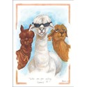 Alisons Animals Card - Who are you calling Llamas? (Splimple - 150x210mm)