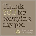 Wordies Card Collection - Thank You For Carrying My Poo
