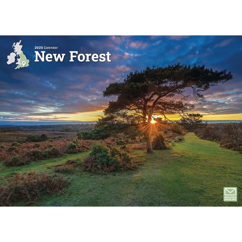 New Forest A4 Calendar 2025 (PFP)