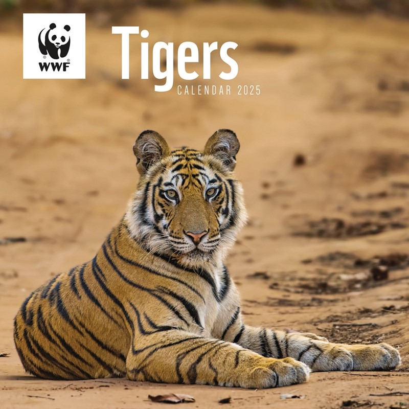 WWF Tigers Wall Calendar 2025 (PFP)