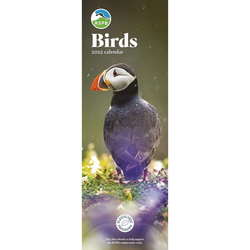 RSPB Birds Slim Calendar 2025 (PFP)