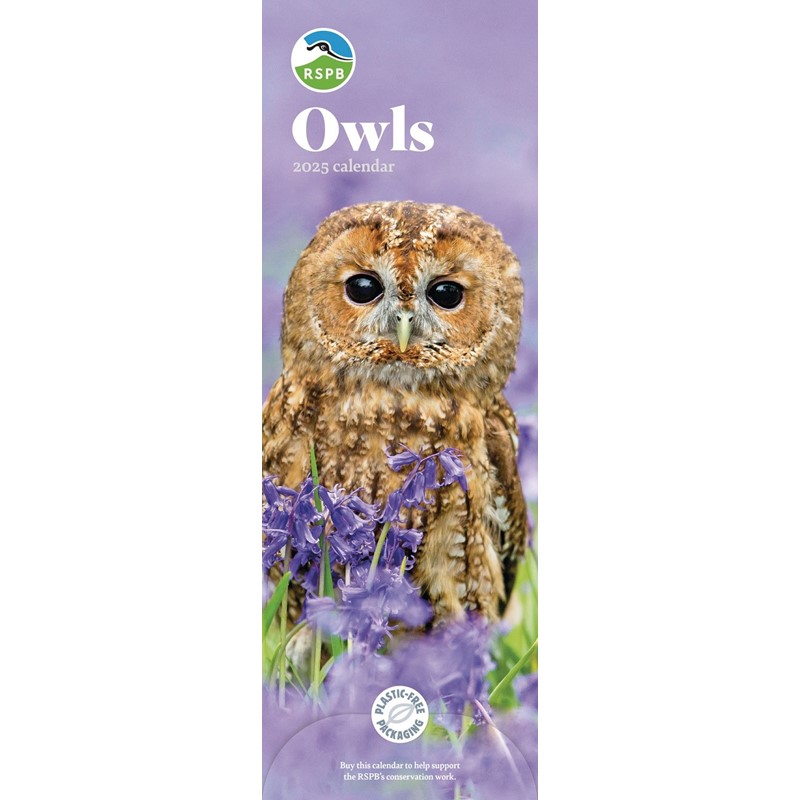 RSPB Owls Slim Calendar 2025 (PFP)