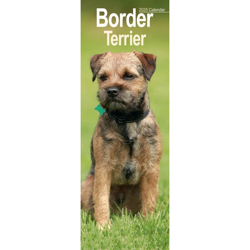 Border Terrier Slim Calendar 2025 (PFP)