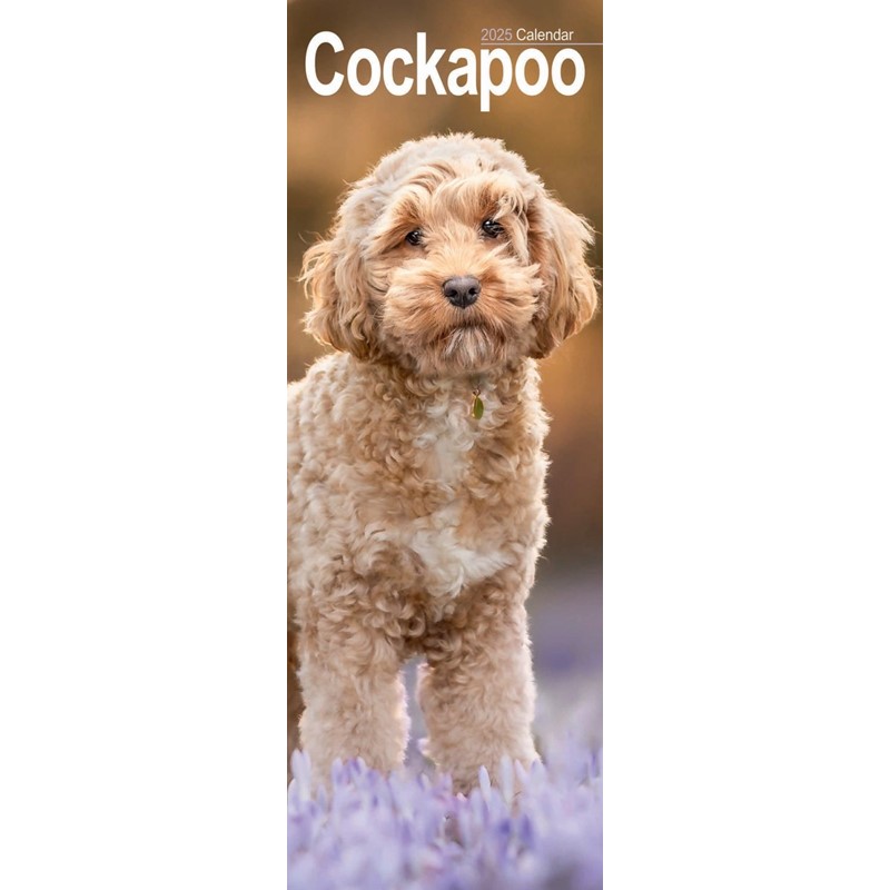 Cockapoo Slim Calendar 2025 (PFP)