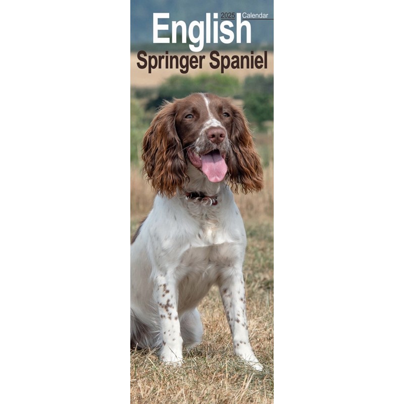 English Springer Spaniel Slim Calendar 2025 (PFP)