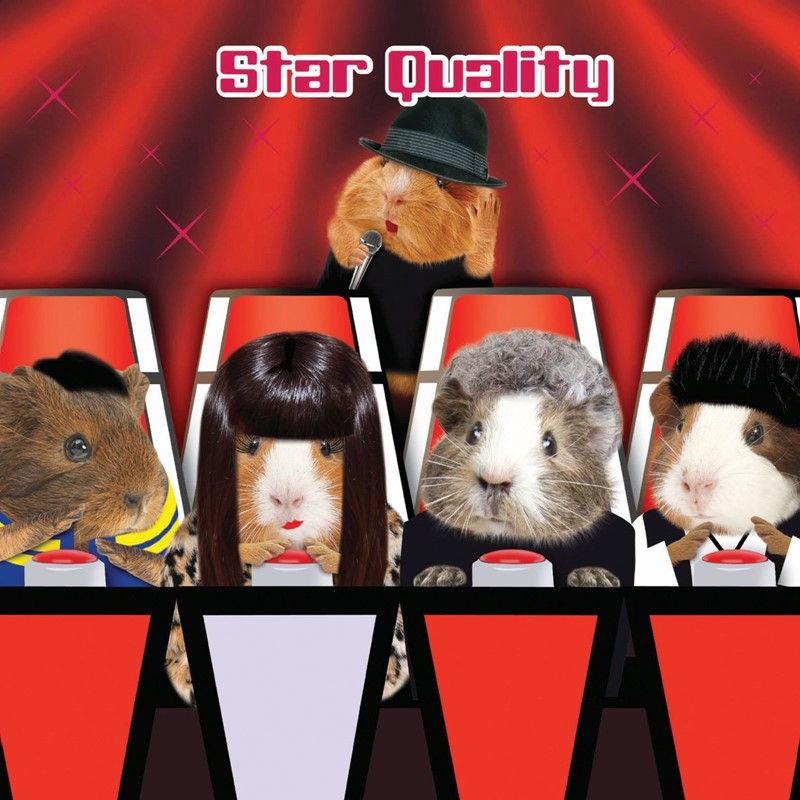 Crazy Crew Card - Star Quality (Congratulations)