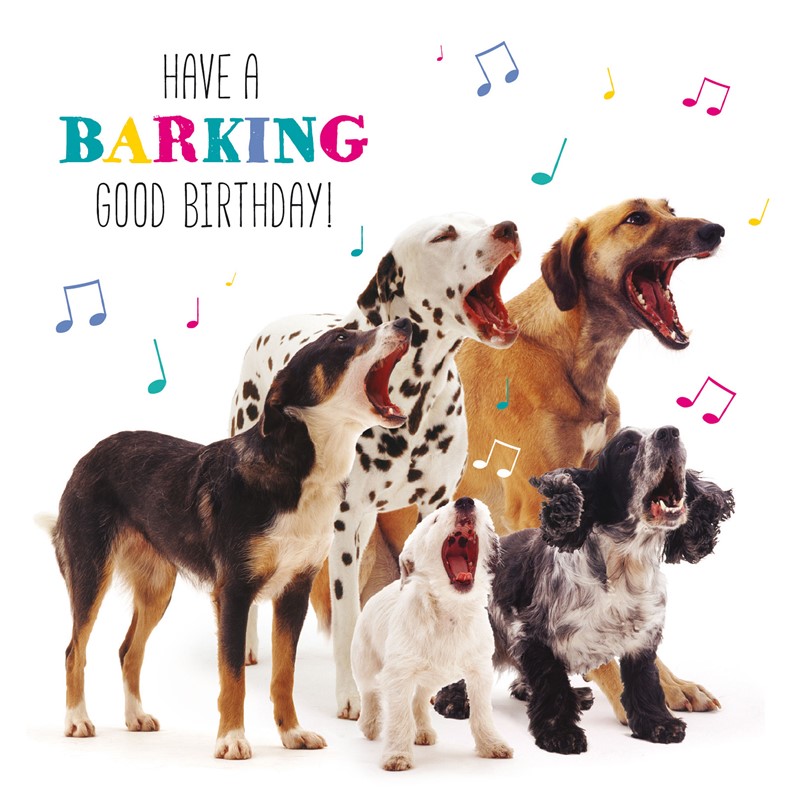  Pet Pawtrait Card - Dog Song (Birthday Card)