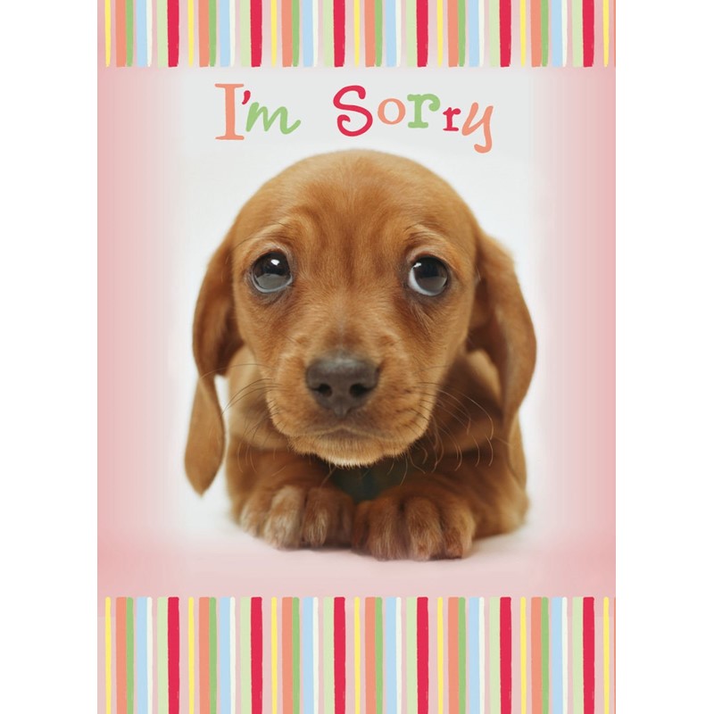 Sorry Card - Puppy